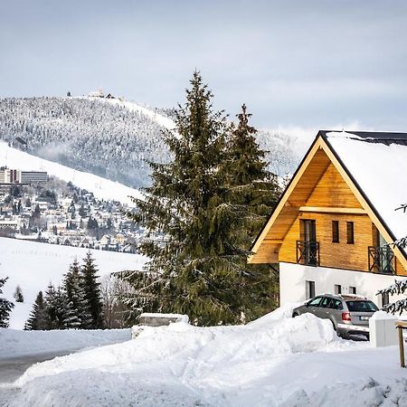 Ski Chalet Klinovec Лоучна-под-Клиновцем Экстерьер фото