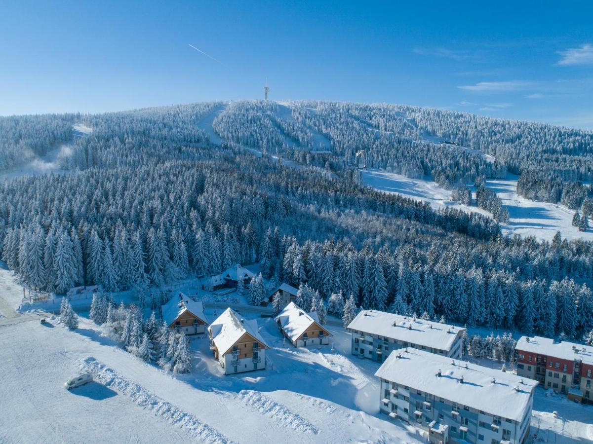 Ski Chalet Klinovec Лоучна-под-Клиновцем Экстерьер фото