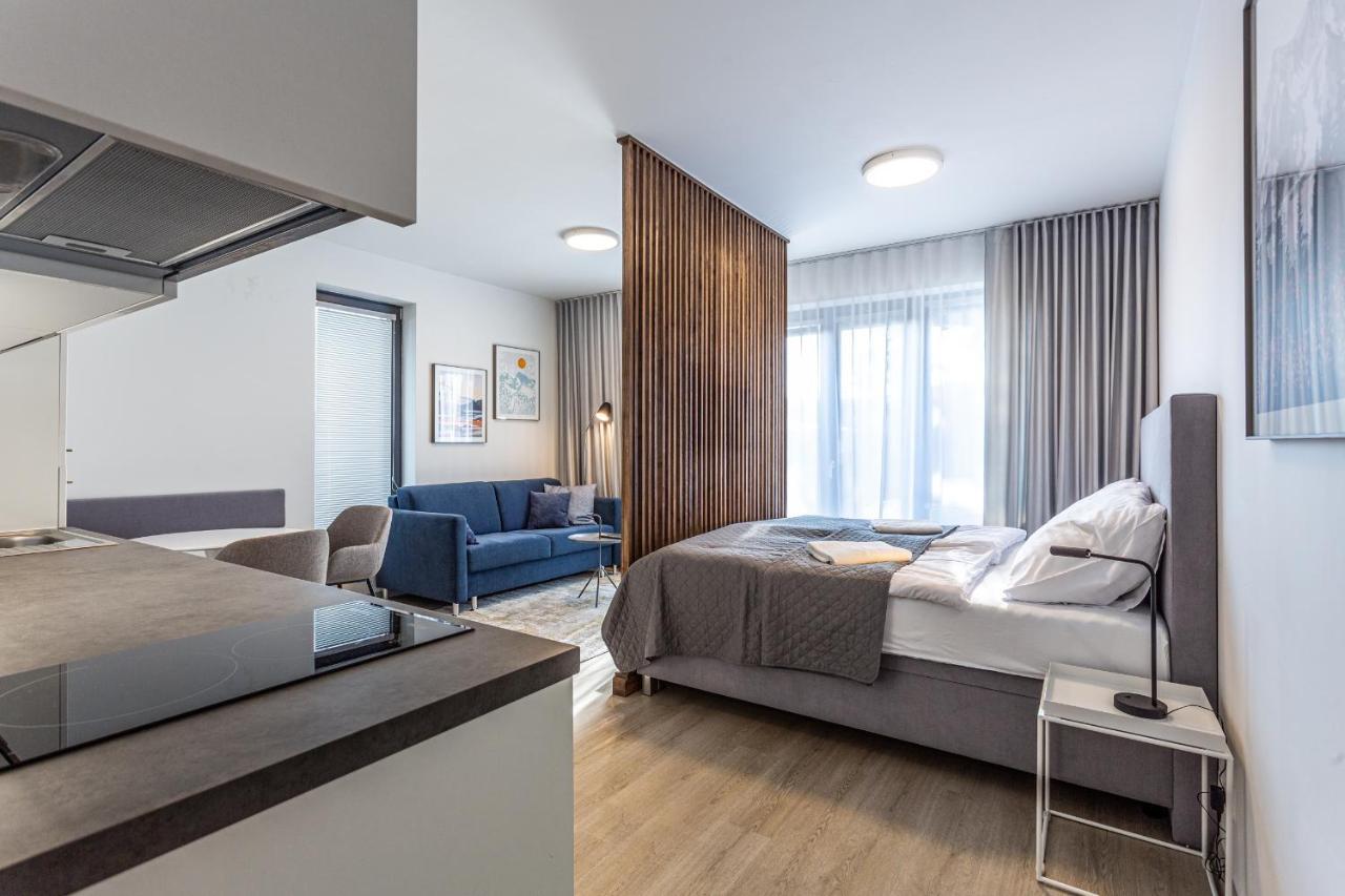 Ski Chalet Klinovec Лоучна-под-Клиновцем Экстерьер фото