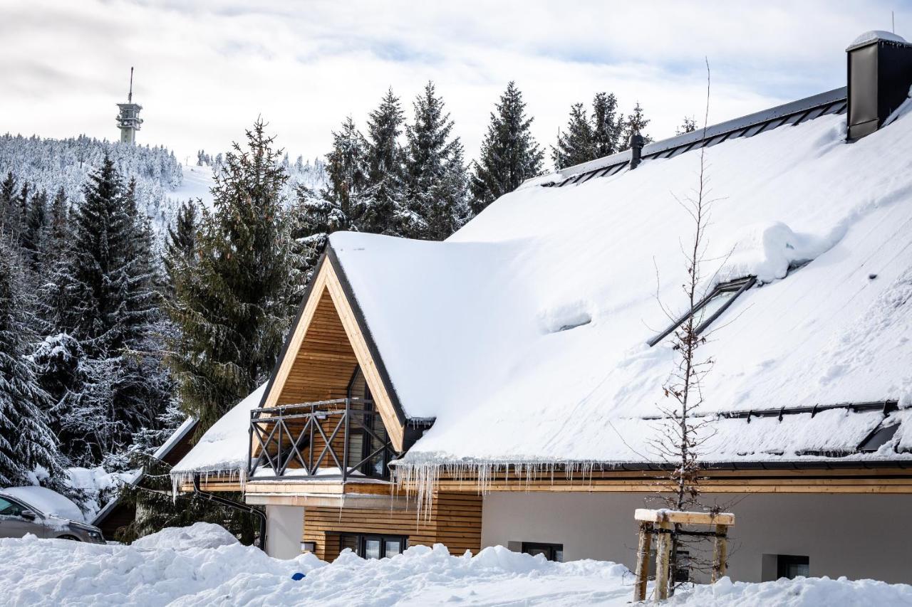Ski Chalet Klinovec Лоучна-под-Клиновцем Экстерьер фото