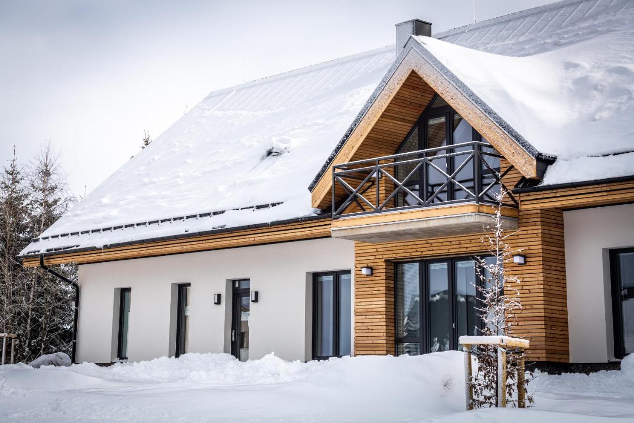 Ski Chalet Klinovec Лоучна-под-Клиновцем Экстерьер фото