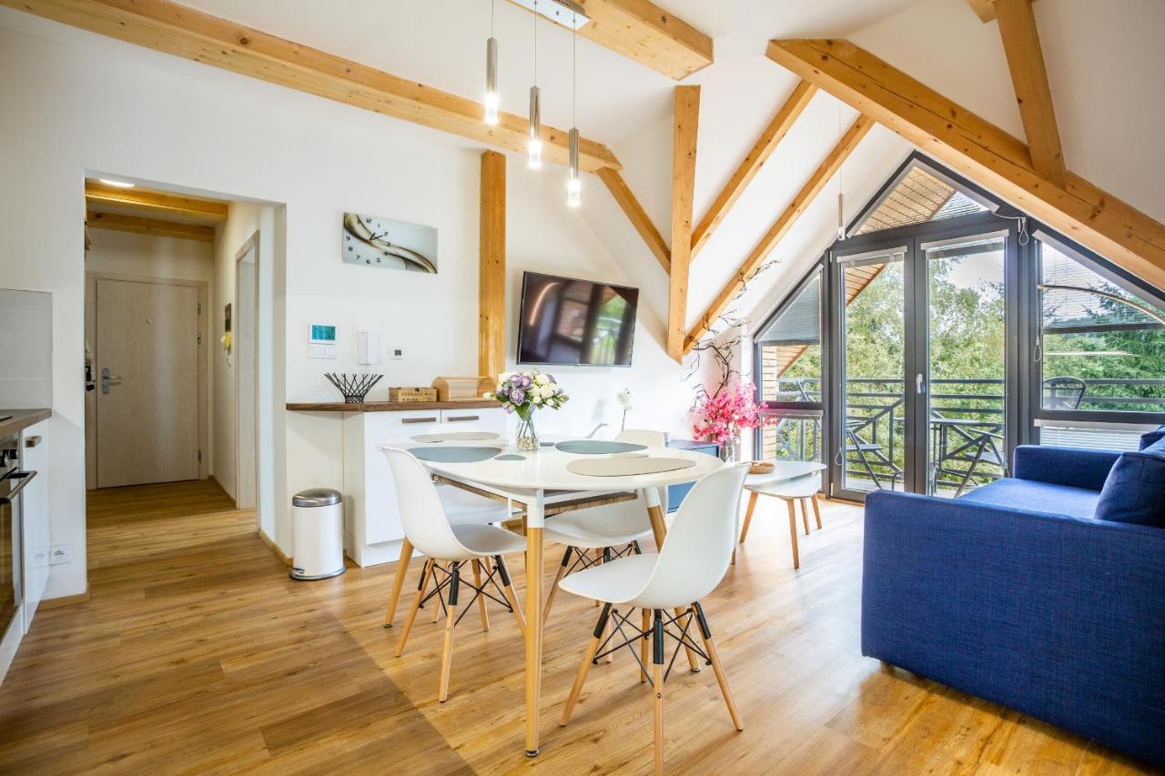 Ski Chalet Klinovec Лоучна-под-Клиновцем Экстерьер фото