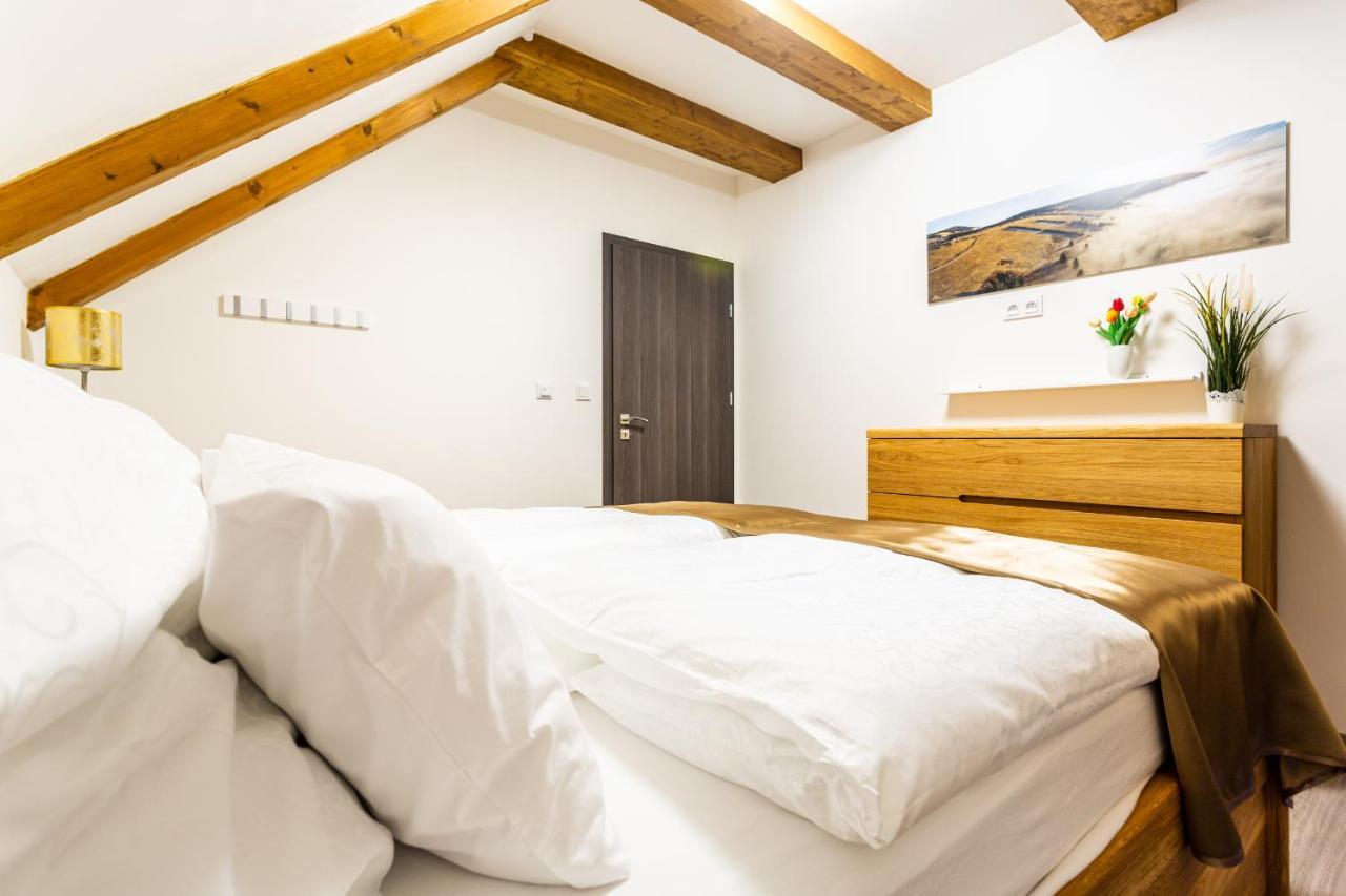 Ski Chalet Klinovec Лоучна-под-Клиновцем Экстерьер фото